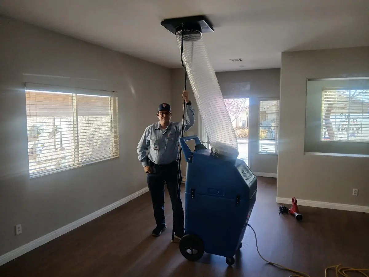 Professional Dryer Vent Cleaning work inside a Edgewater Park home